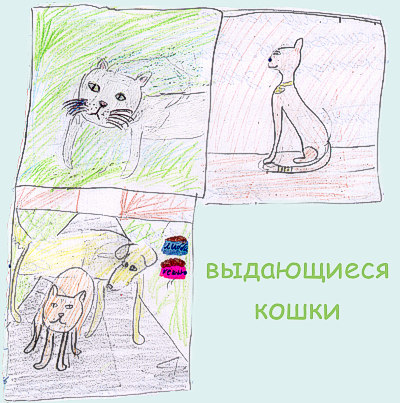 Кот-детектив